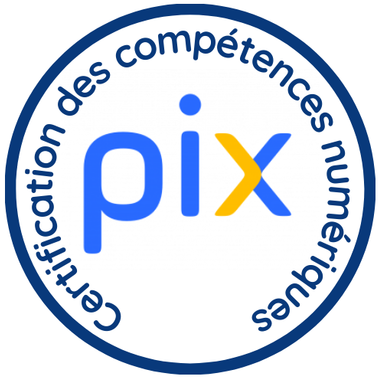 Logo PIX